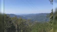 Liguria, approvato il piano per la Strategia Forestale Nazionale: 3,5 milioni per valorizzare le risorse boschive