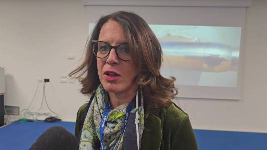 Piaggio Aerospace a Baykar. On. Cavo: "Non si tratta solo di mantenere l’azienda, ma di svilupparla”