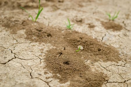 Agricoltura, per i produttori il clima è la prima preoccupazione