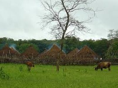 La curiosità di Scignoria!: il genovese sbarca in Guinea Bissau con le generosità di Paolo Torre