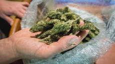 Genova: trasforma casa sua in minimarket della droga, arrestato