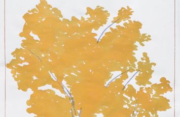 Genova, Aster organizza "Alberi! – 30 frammenti di storia d’Italia", una mostra e tre conferenze sulla cultura arborea