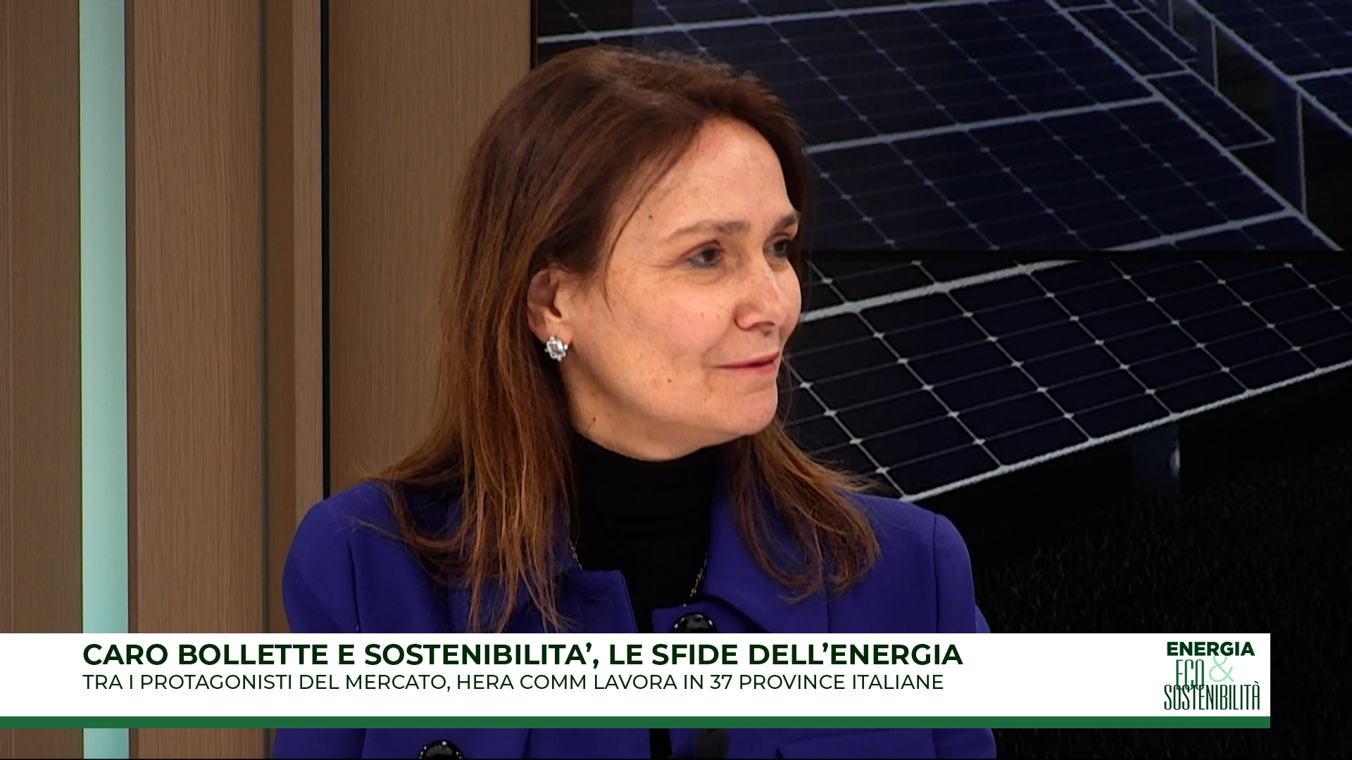 Caro bollette e sostenibilità, le sfide dell'energia