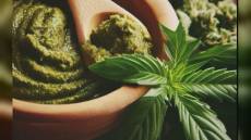 Imperia: arriva il pesto da 1000 euro al chilo, ecco la ricetta