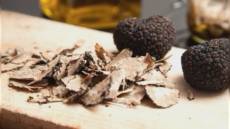 Liguria, tartufo: approvato piano regionale di tutela e valorizzazione del preziosissimo tubero