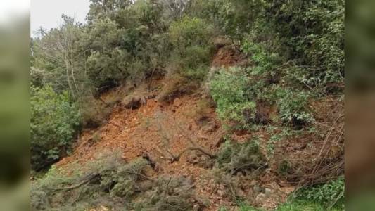 La Spezia, frana ad Ameglia: strada a senso unico alternato nel tratto per Montemarcello