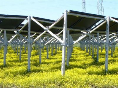 Regno Unito, l'agrivoltaico potrebbe soddisfare quattro volte il fabbisogno elettrico del Paese senza sacrificare terreni agricoli