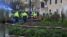 Genova, donna uccisa da palma: sabato 15 marzo giornata di lutto cittadino, minuto di silenzio alle 14,23