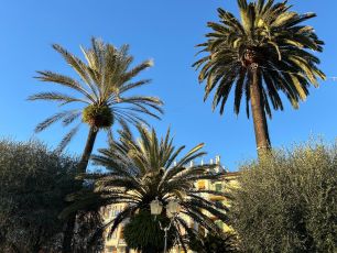 Meteo Liguria, lunedì di sole ma peggioramento previsto per domani 