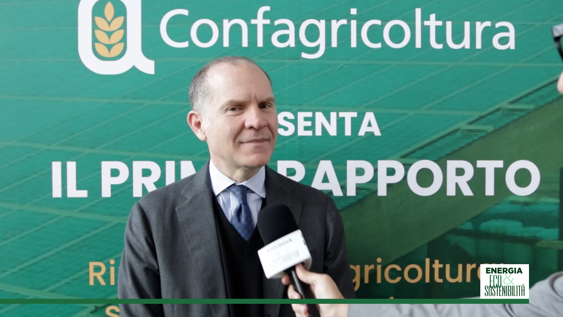 Rinnovabili, dalle coltivazioni la strada verso l'energia green