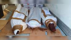 La Spezia, carne malconservata esposta alla Fiera di San Giuseppe: sequestrate tre porchette intere