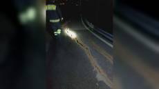 Casarza Ligure, cede l'asfalto: chiusa la strada per Novano