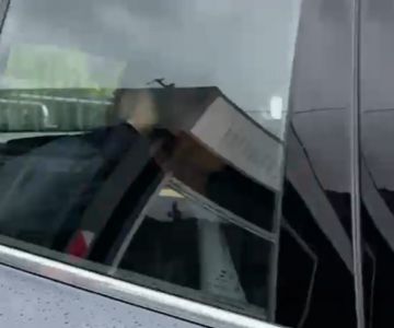 Sampdoria, dall'arrivo di Mancini all'ansia per Niang: la giornata