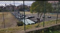 Genova: area Campanule rinasce dopo trent'anni, al via il bando per la gestione