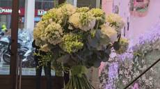 Lo stand di Regione Liguria ad Euroflora 2025: fra i protagonisti anche il fiore "Giannina"