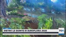 Genova, l'anteprima di Euroflora 2025: il grande ritorno alla Foce. Ferrando: "L’“effetto wow” si respira già"
