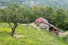 Savignone: la caduta primaverile delle corna dei daini spiegata in lingua genovese 
