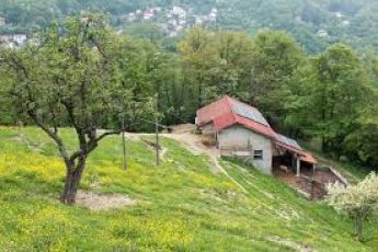 Savignone: la caduta primaverile delle corna dei daini spiegata in lingua genovese 