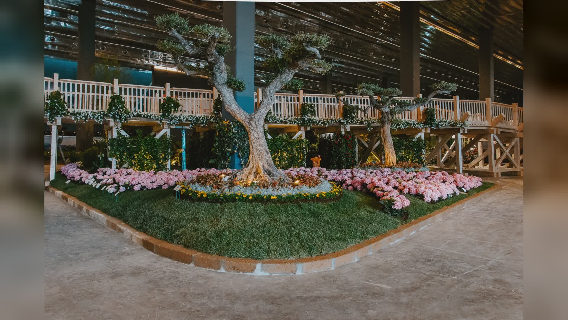 Dalle isole galleggianti ai fiori della rinascita: il viaggio (guidato) a Euroflora 2025