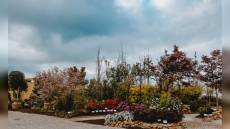 Euroflora 2025, premiati i 21 vincitori dei concorsi d'onore e sezioni speciali