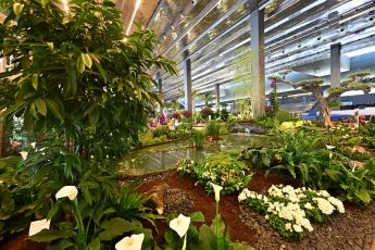 Euroflora 2025, giardini protagonisti con un doppio appuntamento: tra Filosofia, Arte, Terapia e Rinascita