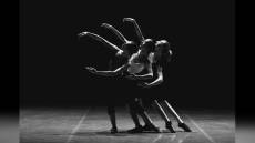 Giornata Internazionale della Danza, linguaggio universale del corpo che unisce il mondo