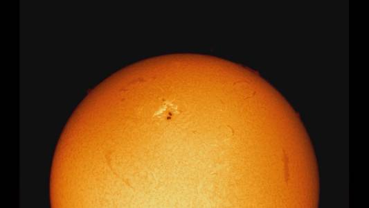 L'Osservatorio Astronomico del Righi cattura l'immagine di un'eruzione solare: ecco cos'è