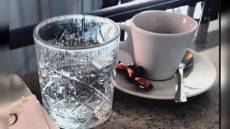 Caffè: l'albenganese Borea presidente dell'Istituto Espresso Italiano