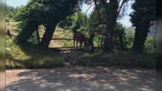 Liguria: 26 milioni dalla Regione per rilanciare Comuni rurali e contrastare spopolamento