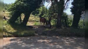 Liguria: 26 milioni dalla Regione per rilanciare Comuni rurali e contrastare spopolamento