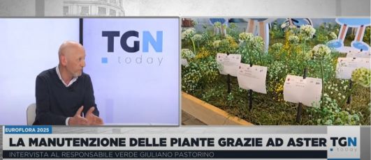 Aster, il dietro le quinte del verde curato per Euroflora: tra bellezza e fatica