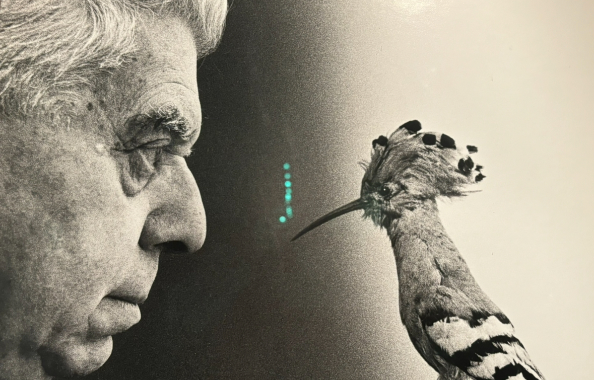 Eugenio Montale, “Meriggiare pallido e assorto. 100 immagini per i 100 anni di Ossi di Seppia”: la mostra al Ducale
