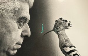 Eugenio Montale, “Meriggiare pallido e assorto. 100 immagini per i 100 anni di Ossi di Seppia”: la mostra al Ducale