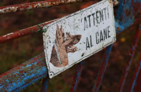 Tra cani da guardia e telecamere: scoperta casa rifugio con cocaina e pistola sulle colline genovesi