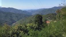 Liguria, oltre 12,5 milioni di euro ai GAL per lo sviluppo dell’entroterra: focus su tradizioni, turismo e agricoltura