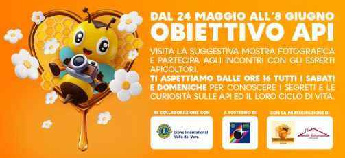 Obiettivo Api alle Terrazze della Spezia, la mostra fotografica che unisce arte, ambiente e solidarietà