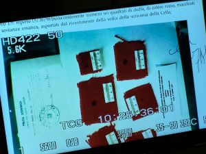 Processo Cella, analisi genetiche compromesse: lo spiega la biologa forense Daniela Scimmi