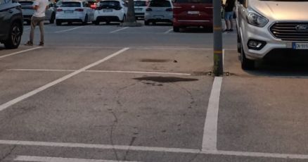 Genova, decapitano un gatto e lasciano la testa nel parcheggio: caccia ai responsabili