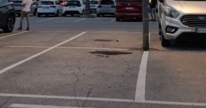 Genova, decapitano un gatto e lasciano la testa nel parcheggio: caccia ai responsabili