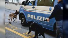 Fermano autista sospetto, poliziotti scovano carico di cocaina su furgone