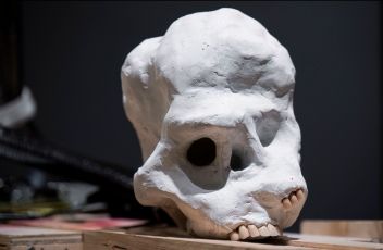 Jacopo Benassi a Palazzo Ducale: l’artista spezzino si racconta tra scatti, materia e azione