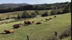 Liguria, agricoltura: Regione proroga termini Piano Sviluppo Rurale