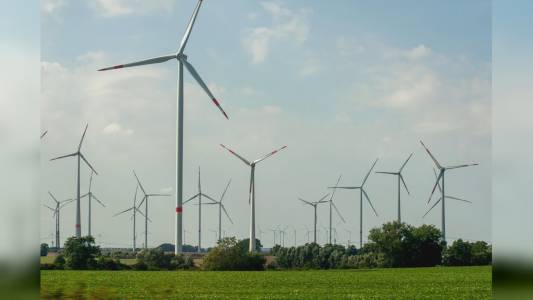 Regione Liguria boccia il progetto eolico da 200 MW: “Area di alto valore naturalistico, troppi rischi per biodiversità"