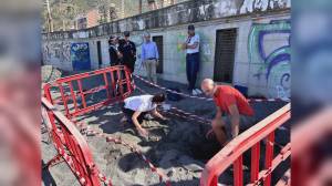 Sorpresa a Sestri Levante: tartaruga Caretta Caretta depone le uova sulla spiaggia