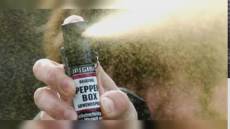 Genova, spray da autodifesa, Bordilli contro Viscogliosi: "Non sa rispondere sulle ordinanze che fa firmare al sindaco"