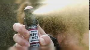 Genova, spray da autodifesa, Bordilli contro Viscogliosi: "Non sa rispondere sulle ordinanze che fa firmare al sindaco"