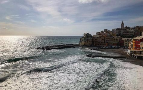 Bogliasco celebra il mare con arte, scienza e sostenibilità: arriva il Posidonia Green Festival