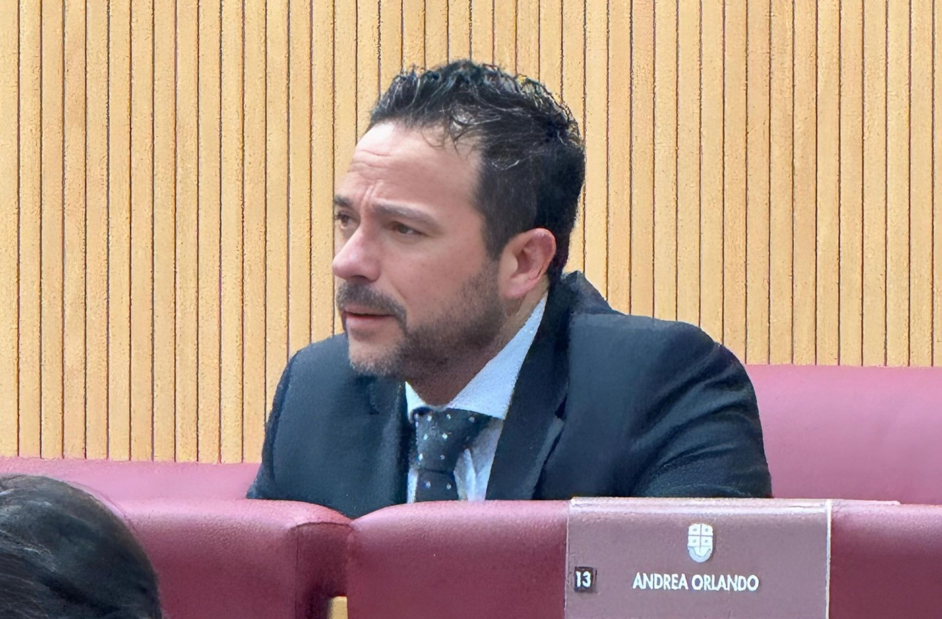 Pedaggi, sanità e carceri, Sanna critica la Regione: "Ma sugli ospedali pronti a votare si a provvedimenti giusti"