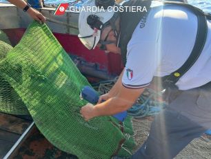Reti a strascico fuori norma e gamberi 'alieni', Guardia Costiera genovese multa pescatori e ristoranti