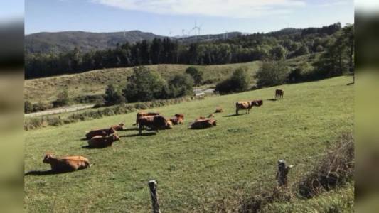 Liguria, oltre 100mila euro alle Unioni di Comuni: approvato il nuovo bando regionale